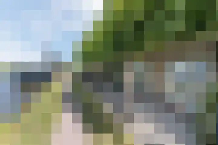 Vlaardingsekade 61 Schipluiden thumbnail 70