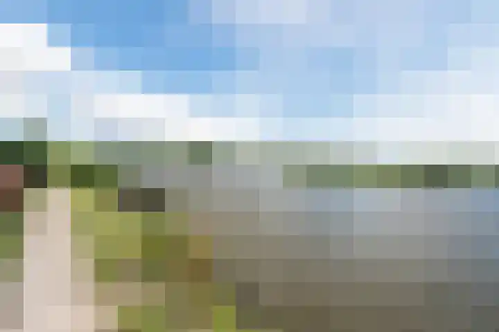 Vlaardingsekade 61 Schipluiden thumbnail 71