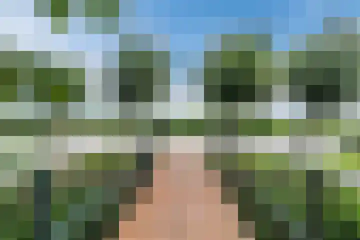Vlaardingsekade 61 Schipluiden thumbnail 72
