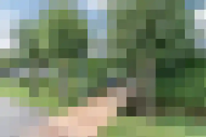 Vlaardingsekade 61 Schipluiden thumbnail 73