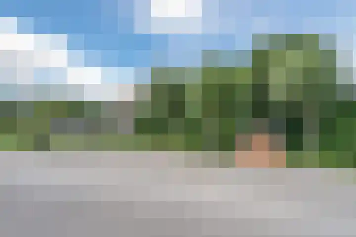 Vlaardingsekade 61 Schipluiden thumbnail 74