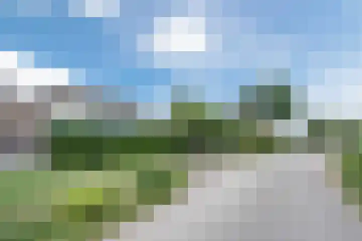 Vlaardingsekade 61 Schipluiden thumbnail 76
