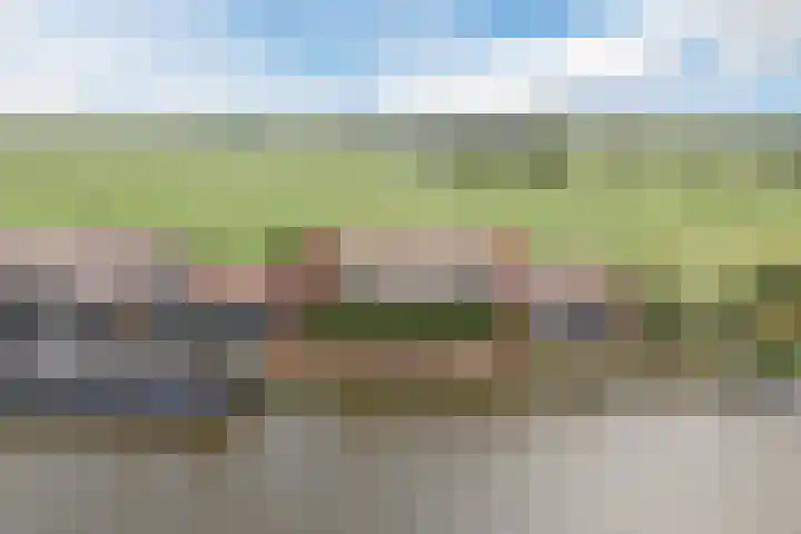 Vlaardingsekade 61 Schipluiden thumbnail 78