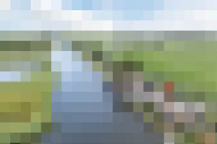 Vlaardingsekade 61 Schipluiden thumbnail 85