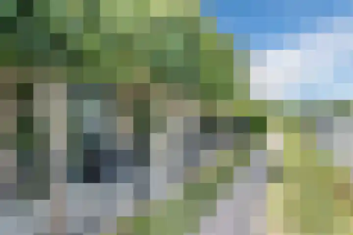 Vlaardingsekade 61 Schipluiden thumbnail 9
