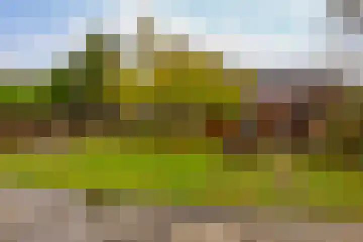 Vlaardingseweg 12 Schiedam thumbnail 22