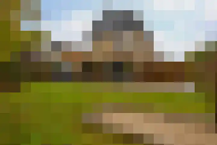 Vlaardingseweg 12 Schiedam thumbnail 27