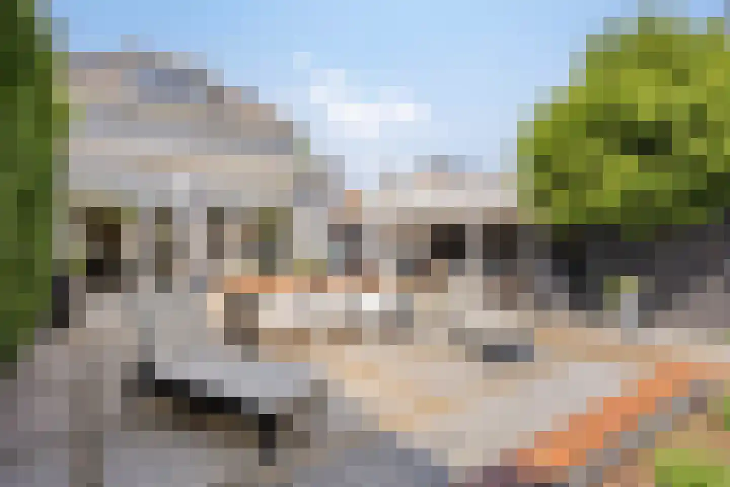 Vlaardingseweg 21 Schiedam thumbnail 28