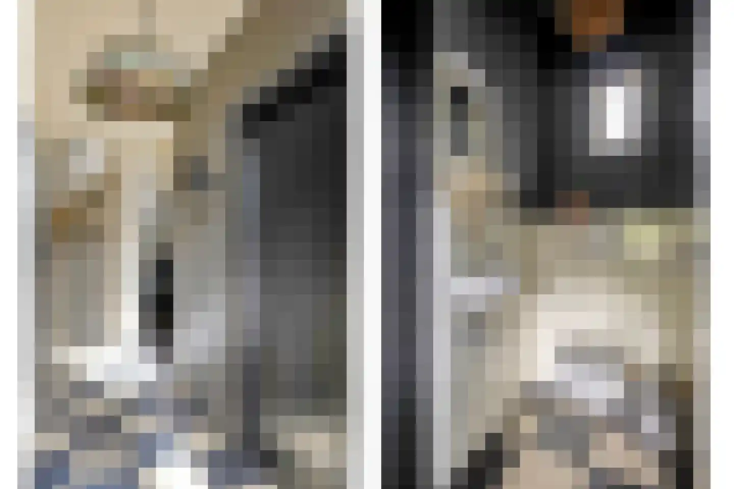 Vlaas 11 Neer thumbnail 11