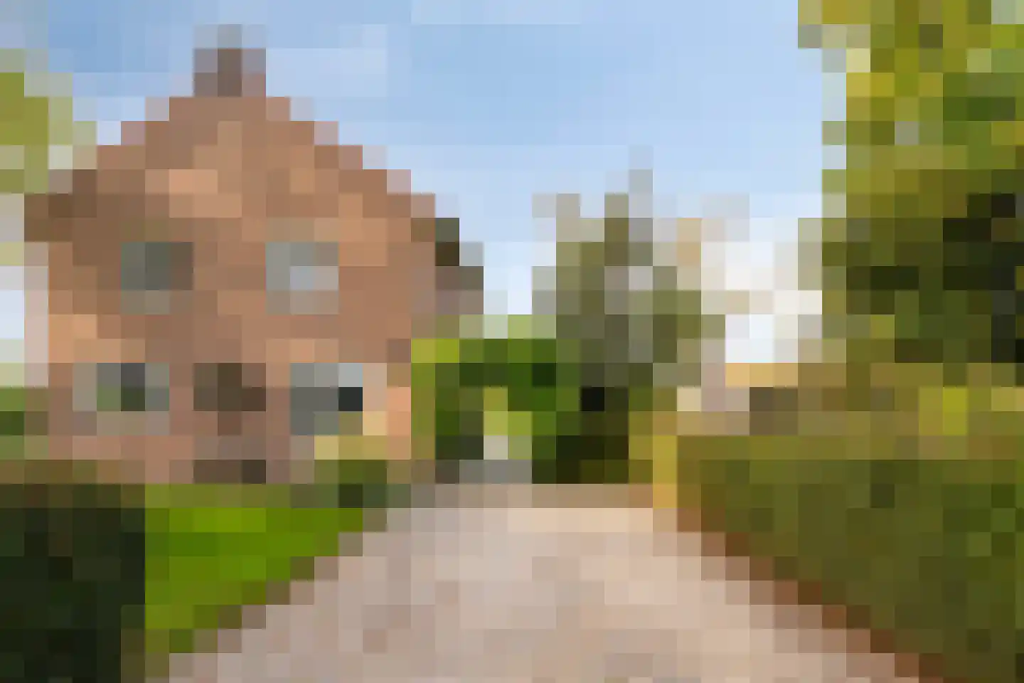 Vlaas 11 Neer thumbnail 30