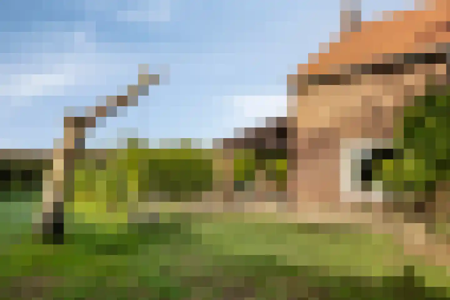 Vlaas 11 Neer thumbnail 31