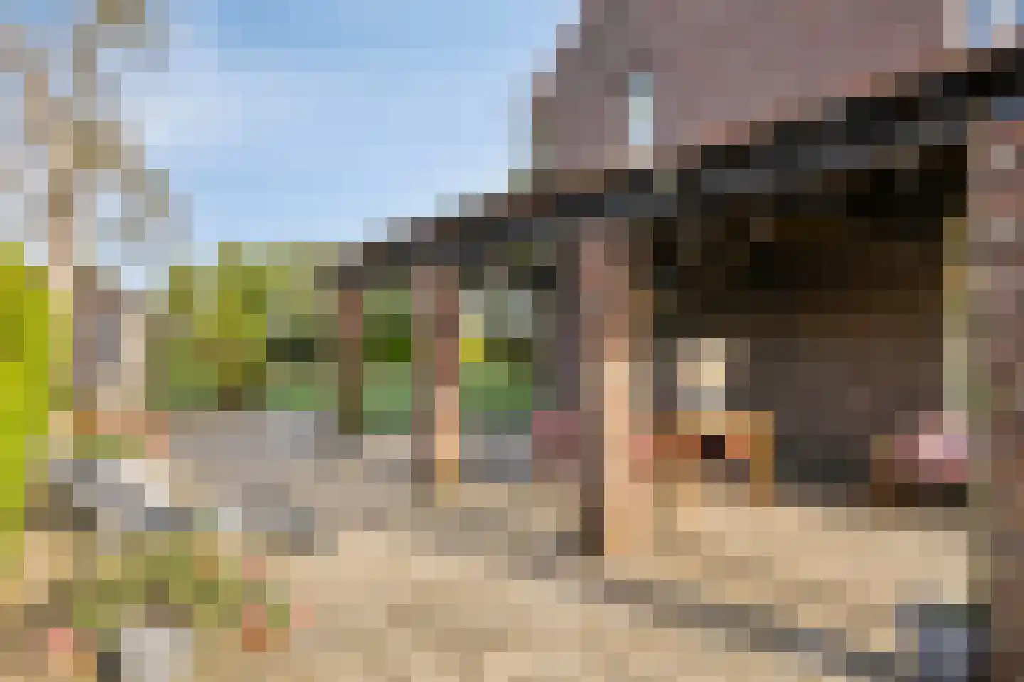 Vlaas 11 Neer thumbnail 34