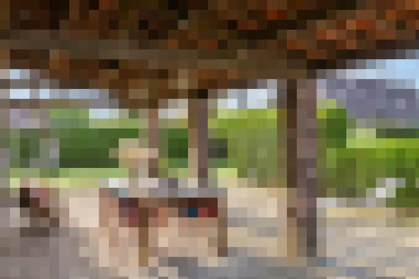 Vlaas 11 Neer thumbnail 35