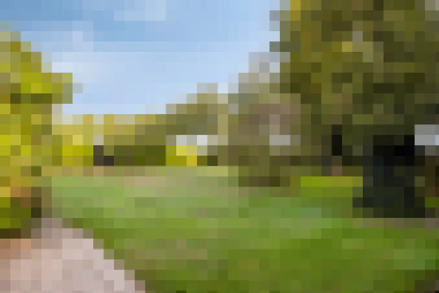 Vlaas 11 Neer thumbnail 37
