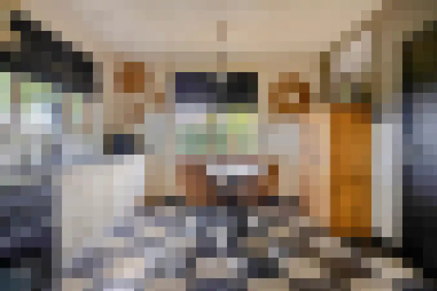 Vlaas 11 Neer thumbnail 4