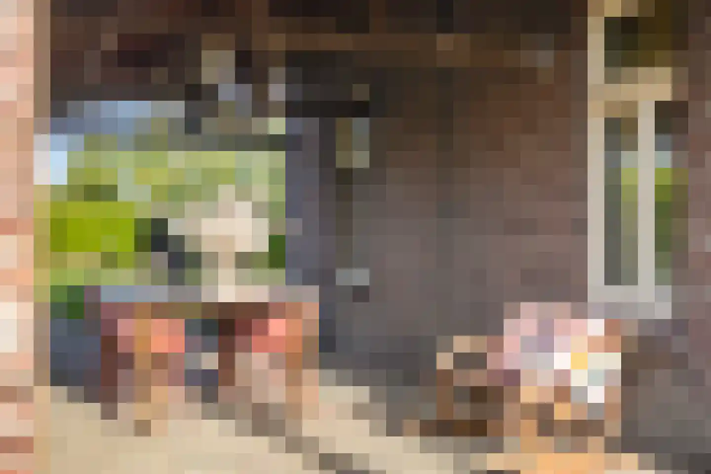 Vlaas 11 Neer thumbnail 44