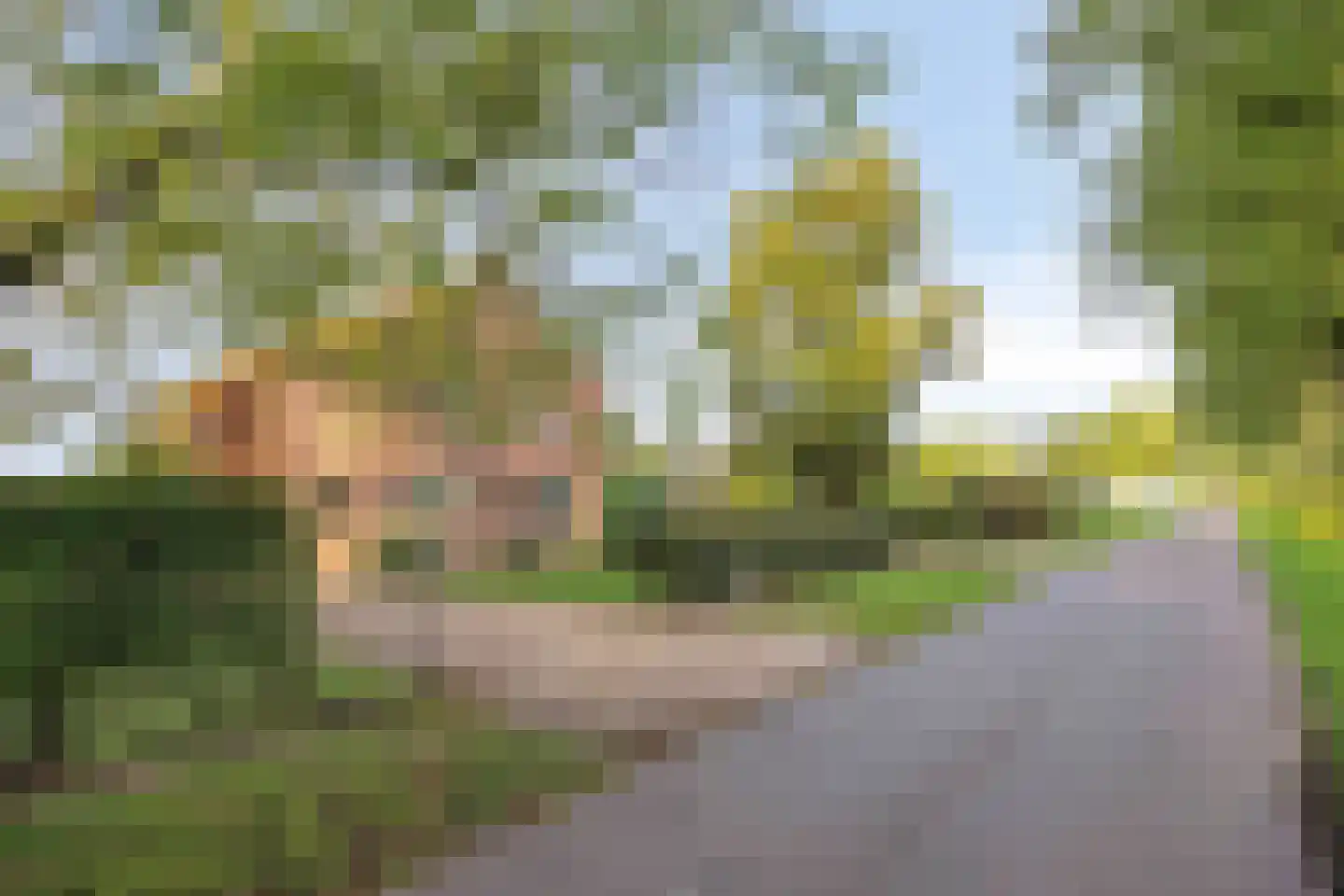 Vlaas 11 Neer thumbnail 48