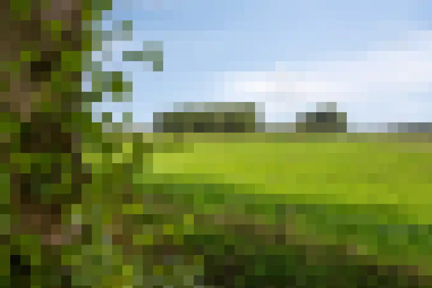 Vlaas 11 Neer thumbnail 50