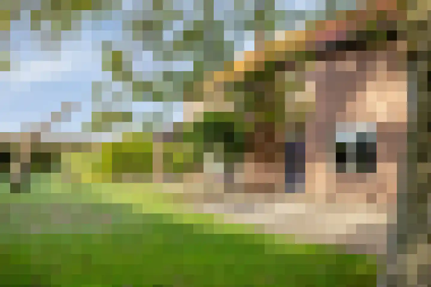 Vlaas 11 Neer thumbnail 6