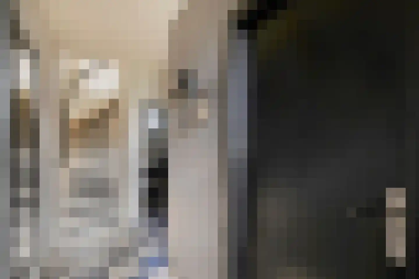 Vlaas 11 Neer thumbnail 8