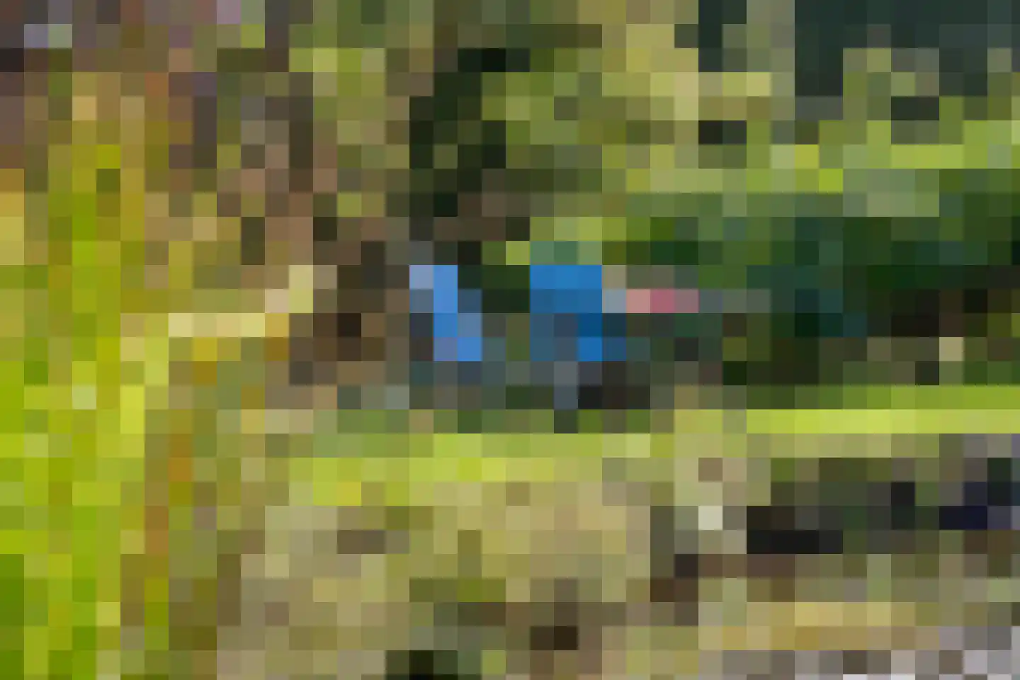 Vlackeweg 7 Nieuw- en Sint Joosland thumbnail 19