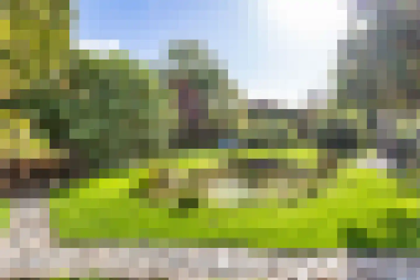 Vlackeweg 7 Nieuw- en Sint Joosland thumbnail 20