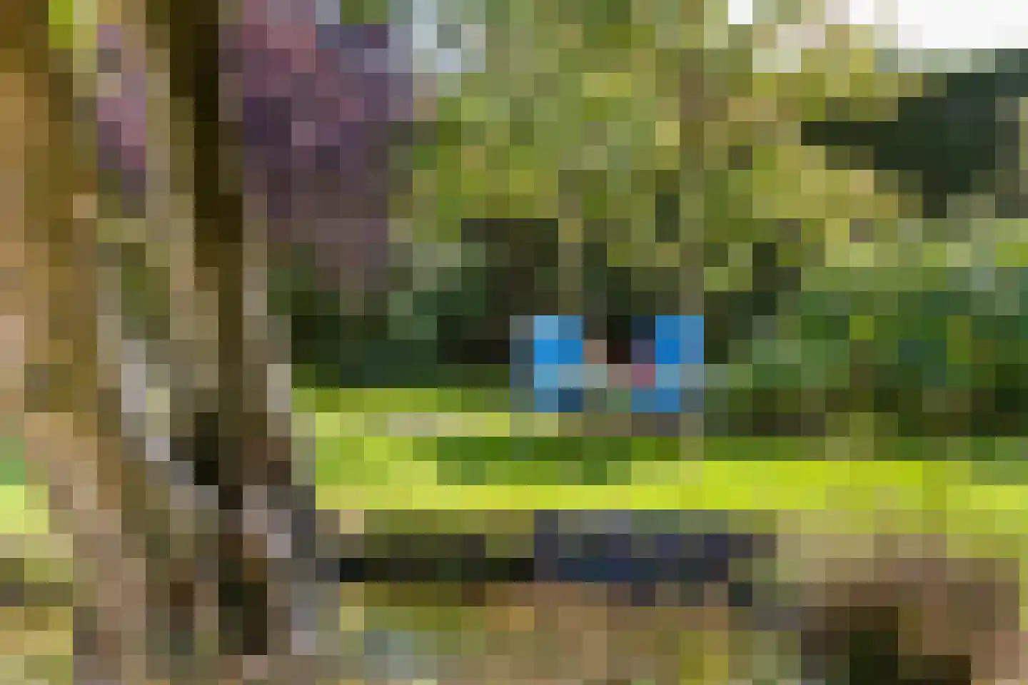 Vlackeweg 7 Nieuw- en Sint Joosland thumbnail 44