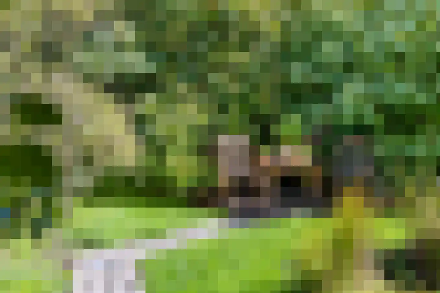 Vlackeweg 7 Nieuw- en Sint Joosland thumbnail 45
