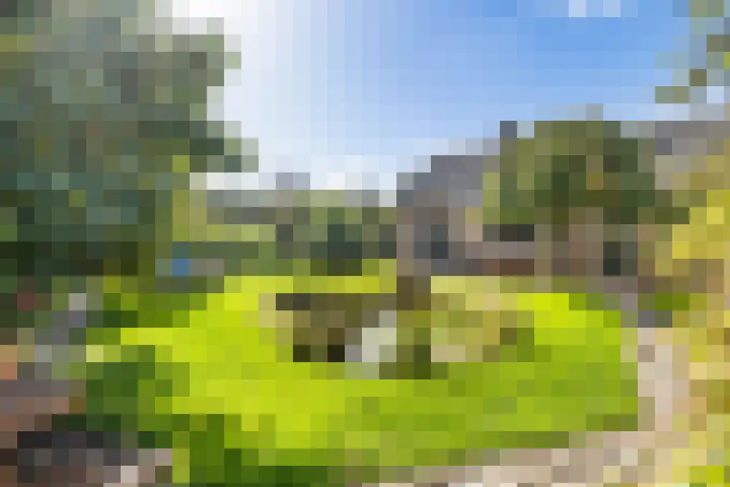 Vlackeweg 7 Nieuw- en Sint Joosland thumbnail 5
