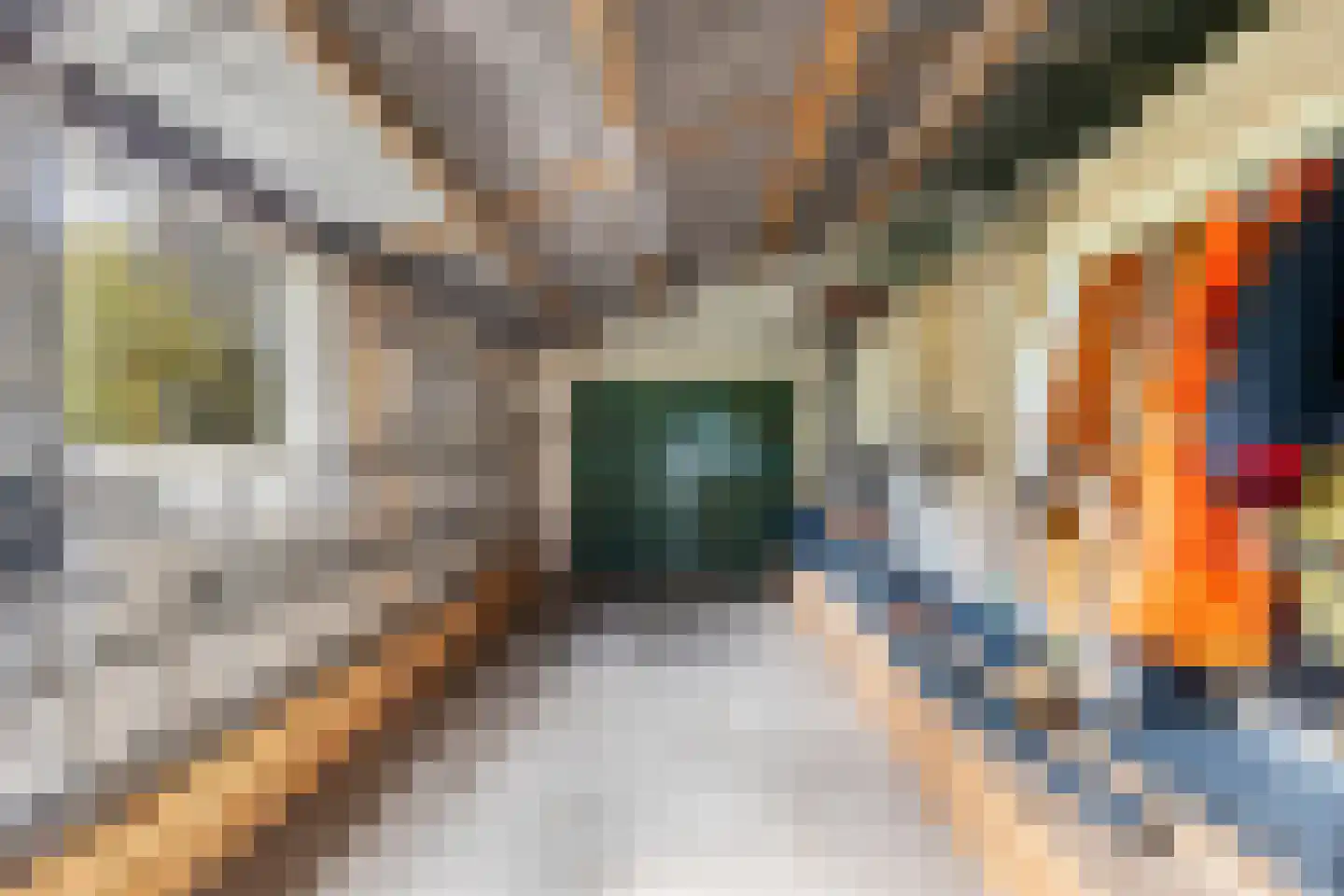 Vlackeweg 7 Nieuw- en Sint Joosland thumbnail 63