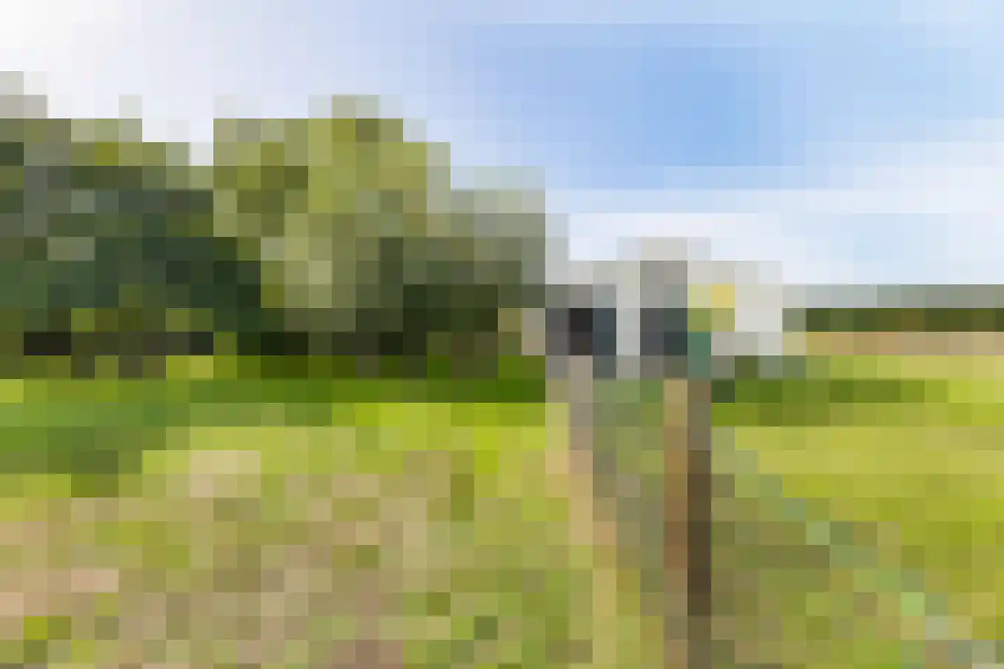 Vlackeweg 7 Nieuw- en Sint Joosland thumbnail 67