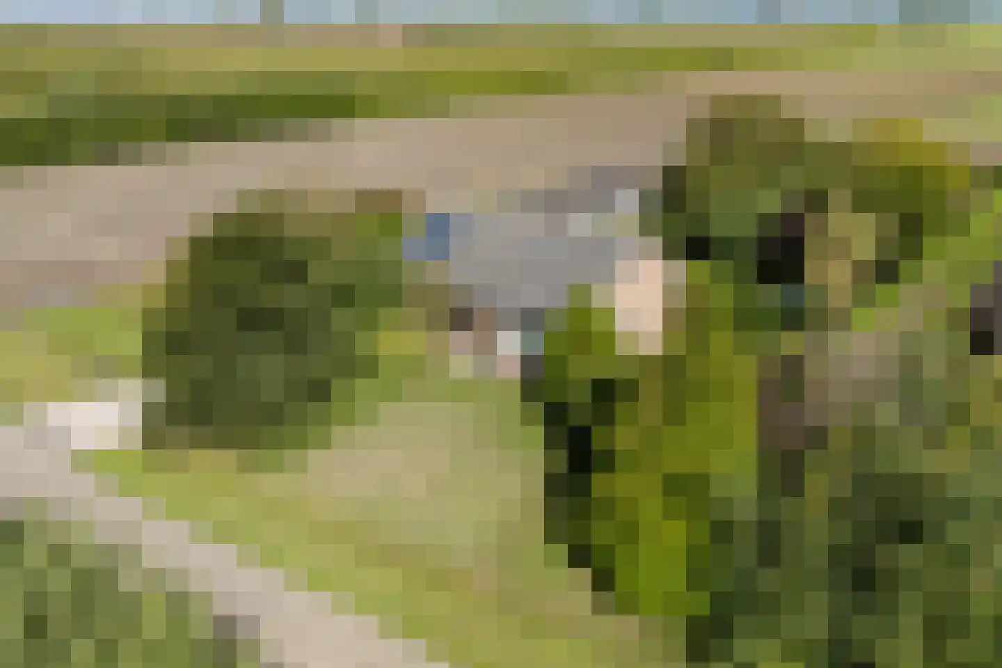 Vlackeweg 7 Nieuw- en Sint Joosland thumbnail 7
