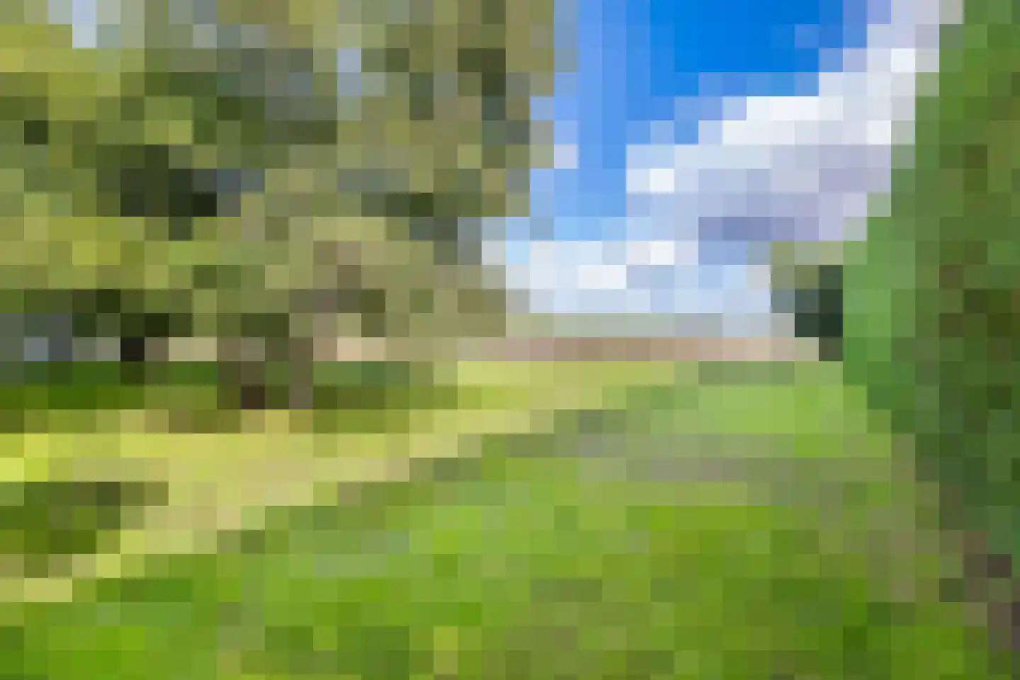Vlackeweg 7 Nieuw- en Sint Joosland thumbnail 71