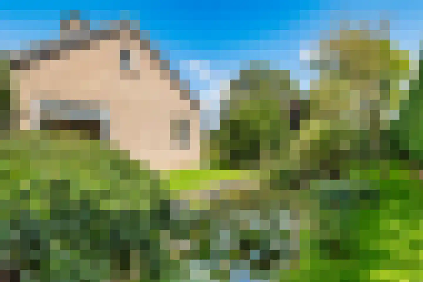 Vlackeweg 7 Nieuw- en Sint Joosland thumbnail 74