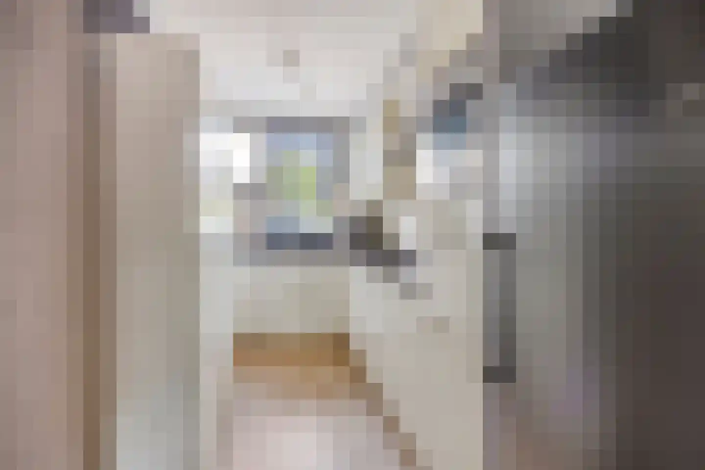 Vlaemsche Hoeve 110 Vlijmen thumbnail 11