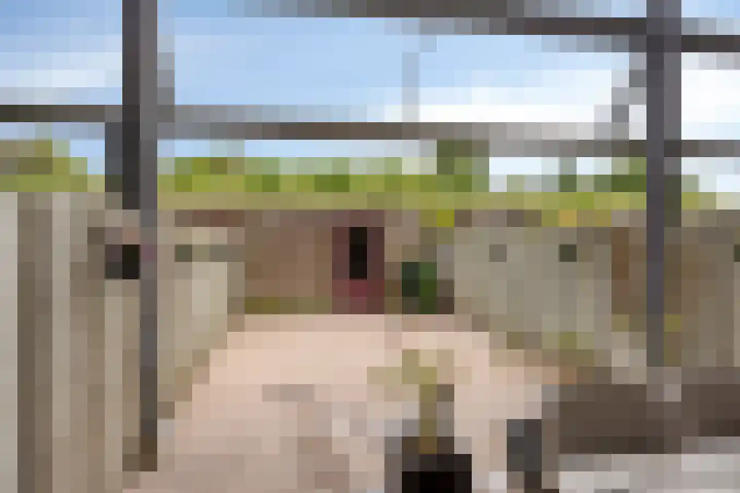 Vlaemsche Hoeve 110 Vlijmen thumbnail 25