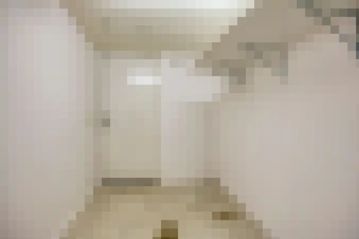 Vlaemsche Hoeve 110 Vlijmen thumbnail 31