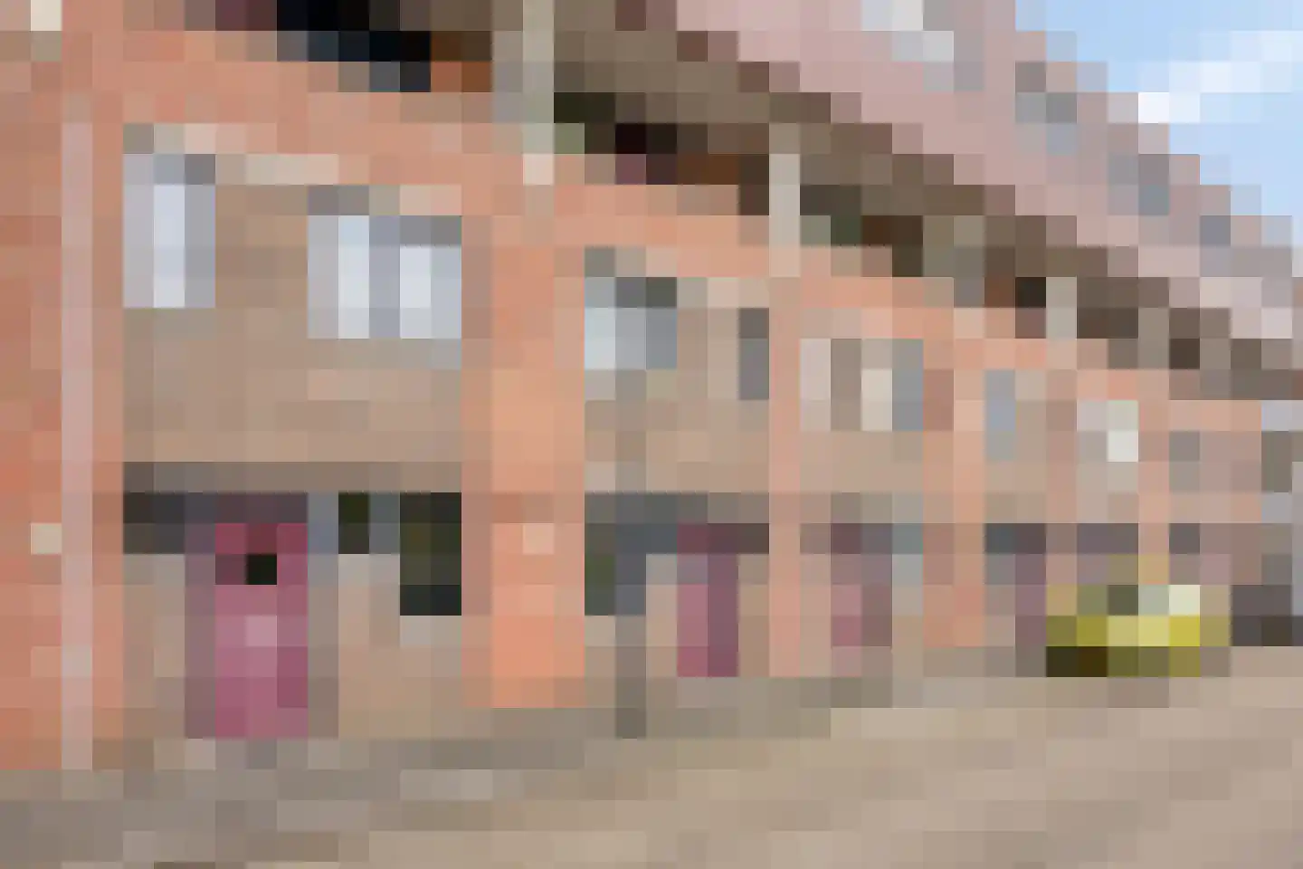 Vlaemsche Hoeve 110 Vlijmen thumbnail 32