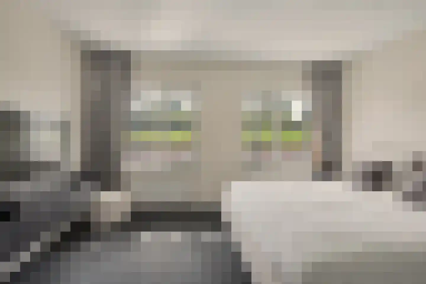 Vlaemsche Hoeve 112 Vlijmen thumbnail 18