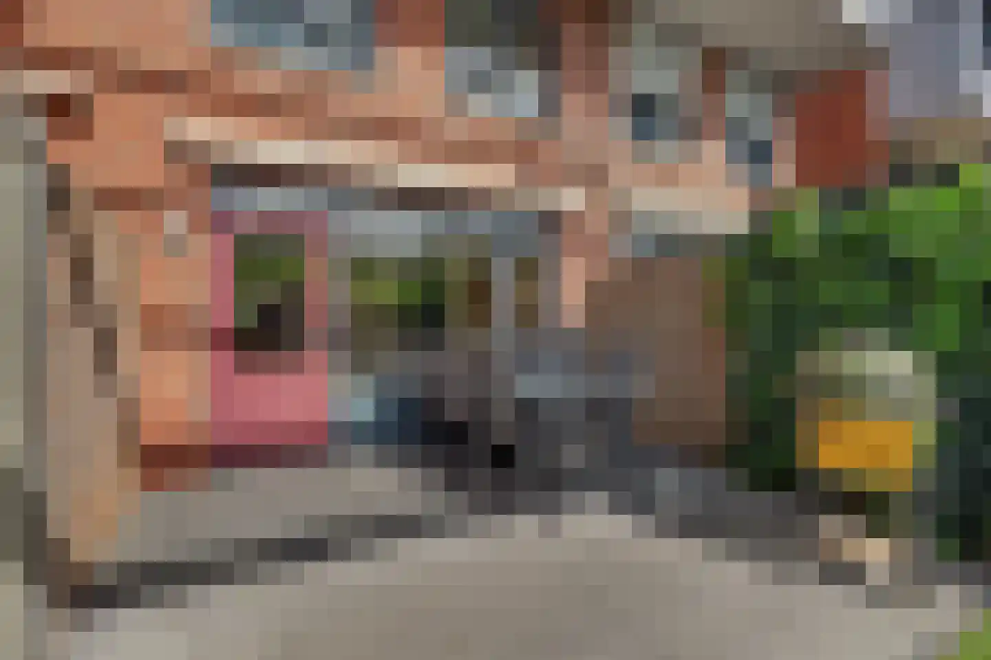 Vlaemsche Hoeve 112 Vlijmen thumbnail 26
