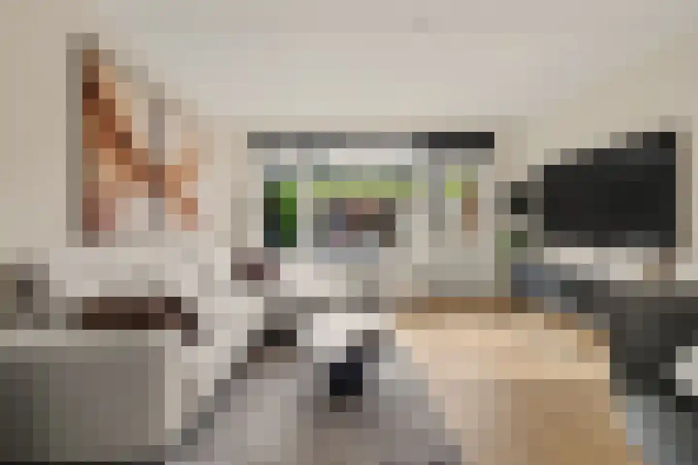 Vlaemsche Hoeve 112 Vlijmen thumbnail 5