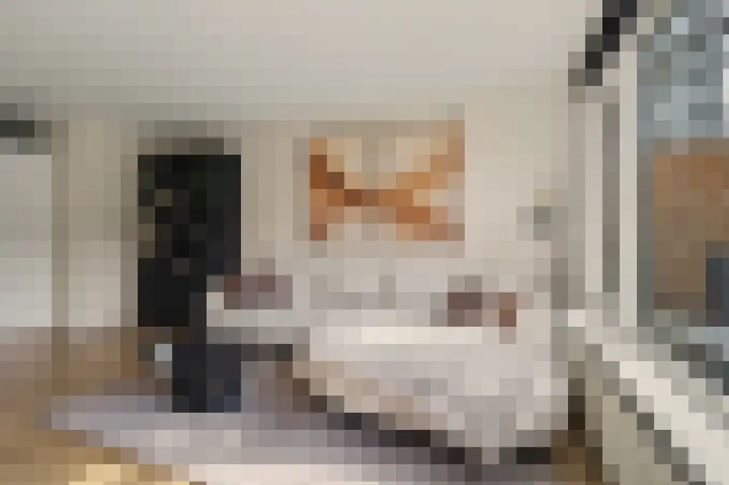 Vlaemsche Hoeve 112 Vlijmen thumbnail 6