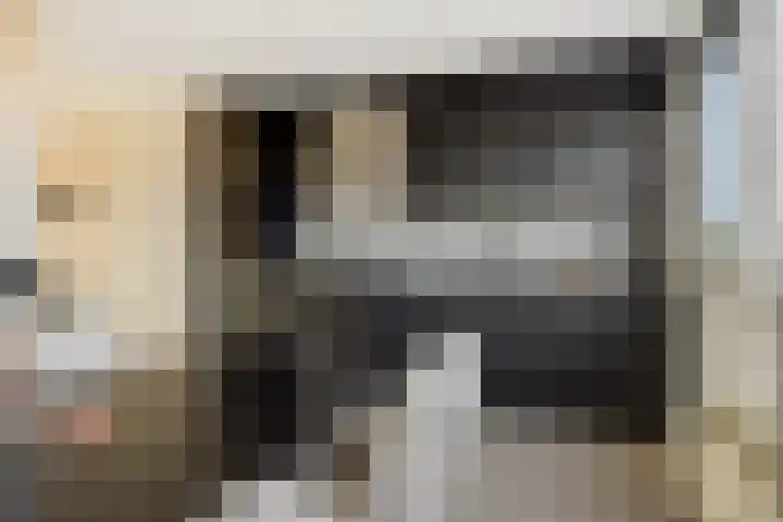 Vlaemsche Hoeve 116 Vlijmen thumbnail 10