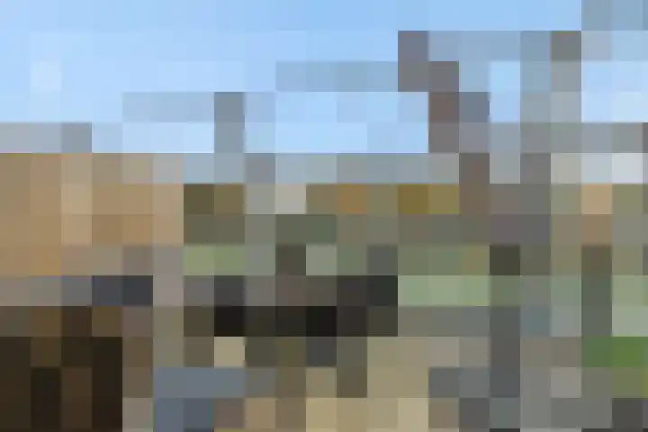 Vlaemsche Hoeve 116 Vlijmen thumbnail 13