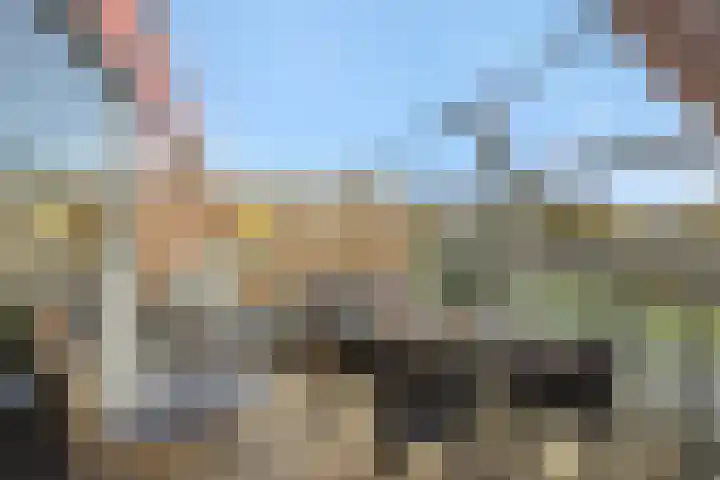 Vlaemsche Hoeve 116 Vlijmen thumbnail 14