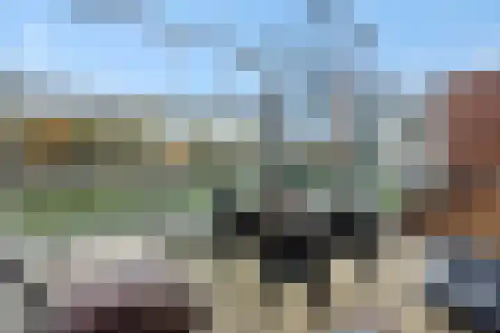Vlaemsche Hoeve 116 Vlijmen thumbnail 15
