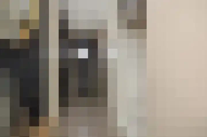 Vlaemsche Hoeve 116 Vlijmen thumbnail 16
