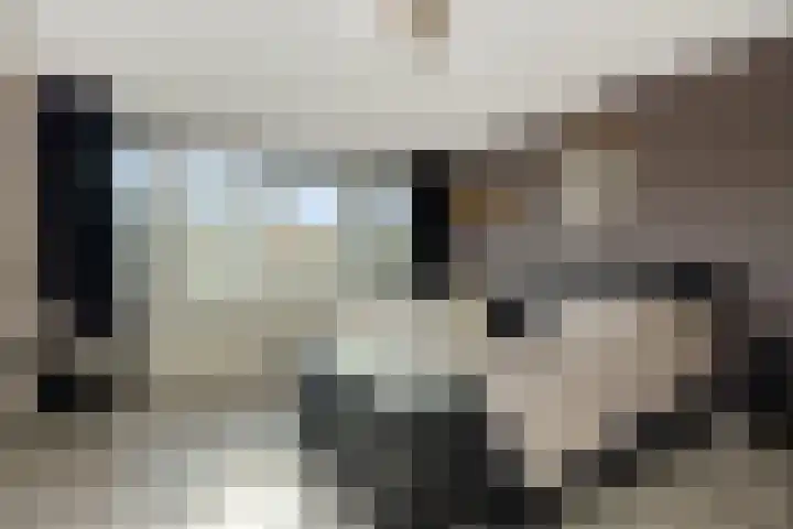 Vlaemsche Hoeve 116 Vlijmen thumbnail 19