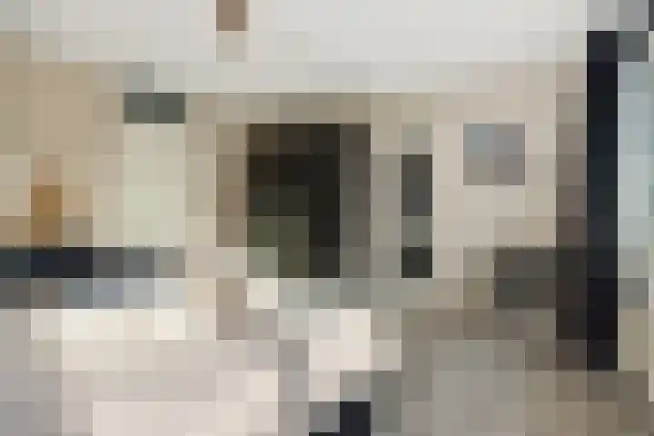 Vlaemsche Hoeve 116 Vlijmen thumbnail 20