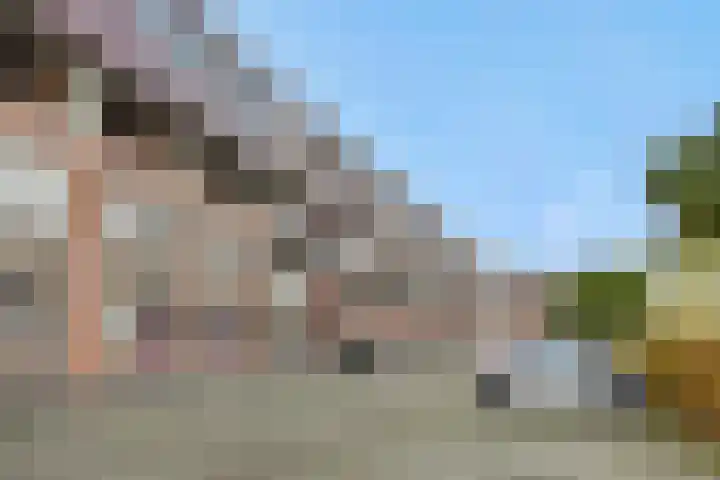 Vlaemsche Hoeve 116 Vlijmen thumbnail 27